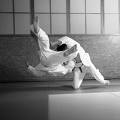 judothrow.jpg